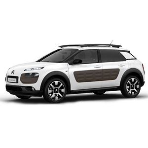 pièce Citroen C4 Cactus