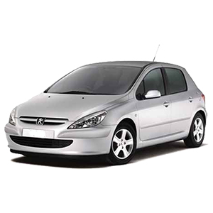 pièce Peugeot 307